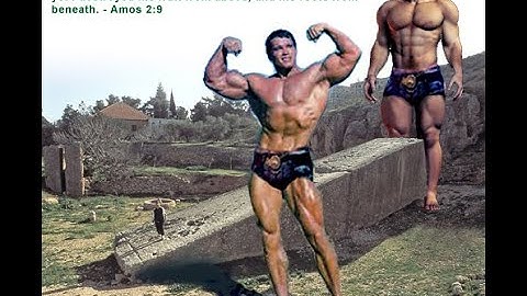 Declaring the End from the Beginning - Part 11 of 20: The SEED War Ramps Up: Enter the Nephilim