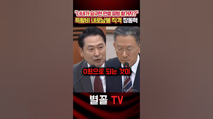 "너네가 요구했던 만큼 안하면 0원에 동의하지?" 특활비 직격 장동혁 #장동혁 #청문회 #국민의힘 #정치 #보수 #특활비