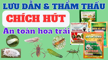 Hoạt chất diệt chích hút lưu dẫn & thẩm thấu nhanh | Thiamethoxam, Pymetrozine, Acetamiprid & Ema