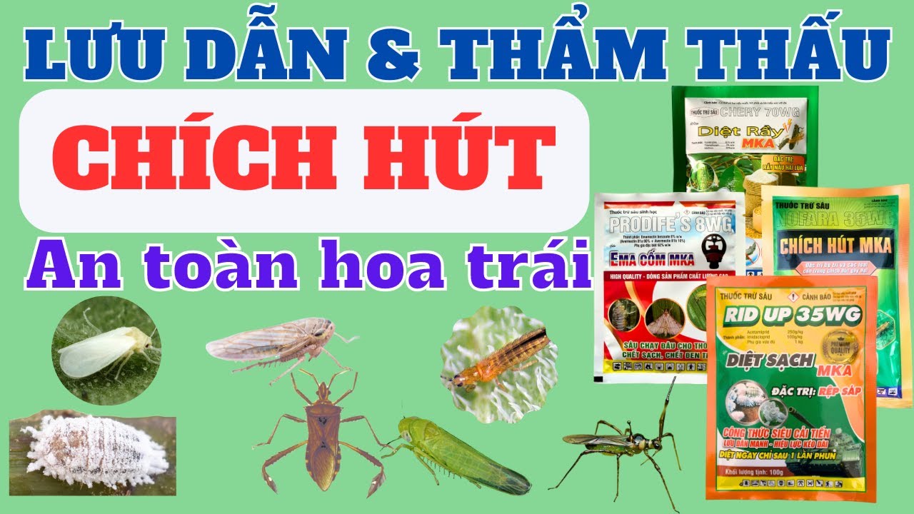 Hoạt chất diệt chích hút lưu dẫn & thẩm thấu nhanh | Thiamethoxam, Pymetrozine, Acetamiprid & Ema