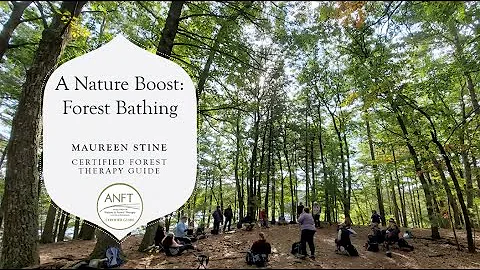 Forest Bathing: A Nature Boost