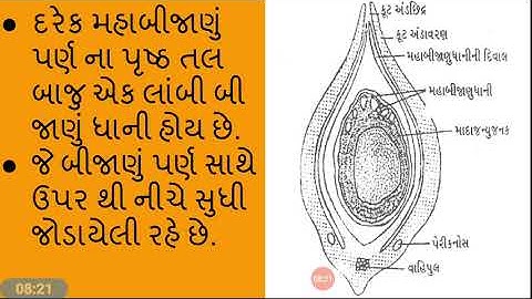 CC BOT 211(Lec- 22) TBP