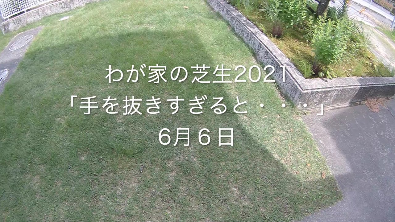 わが家の芝生21 手を抜きすぎると 6月６日 Youtube