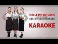 Fetele din botoani  aas moldovencele karaoke