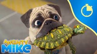 MIGHTY MIKE 🐶🐢 30 minutes compilation #4 😁