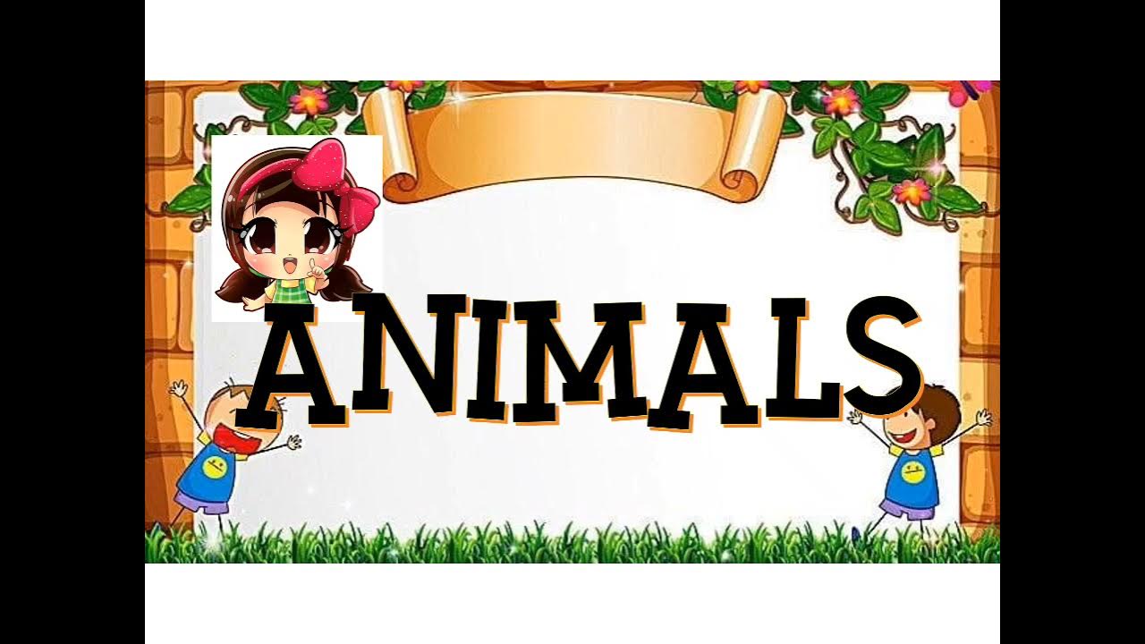 Wild and Tame Animals. - YouTube