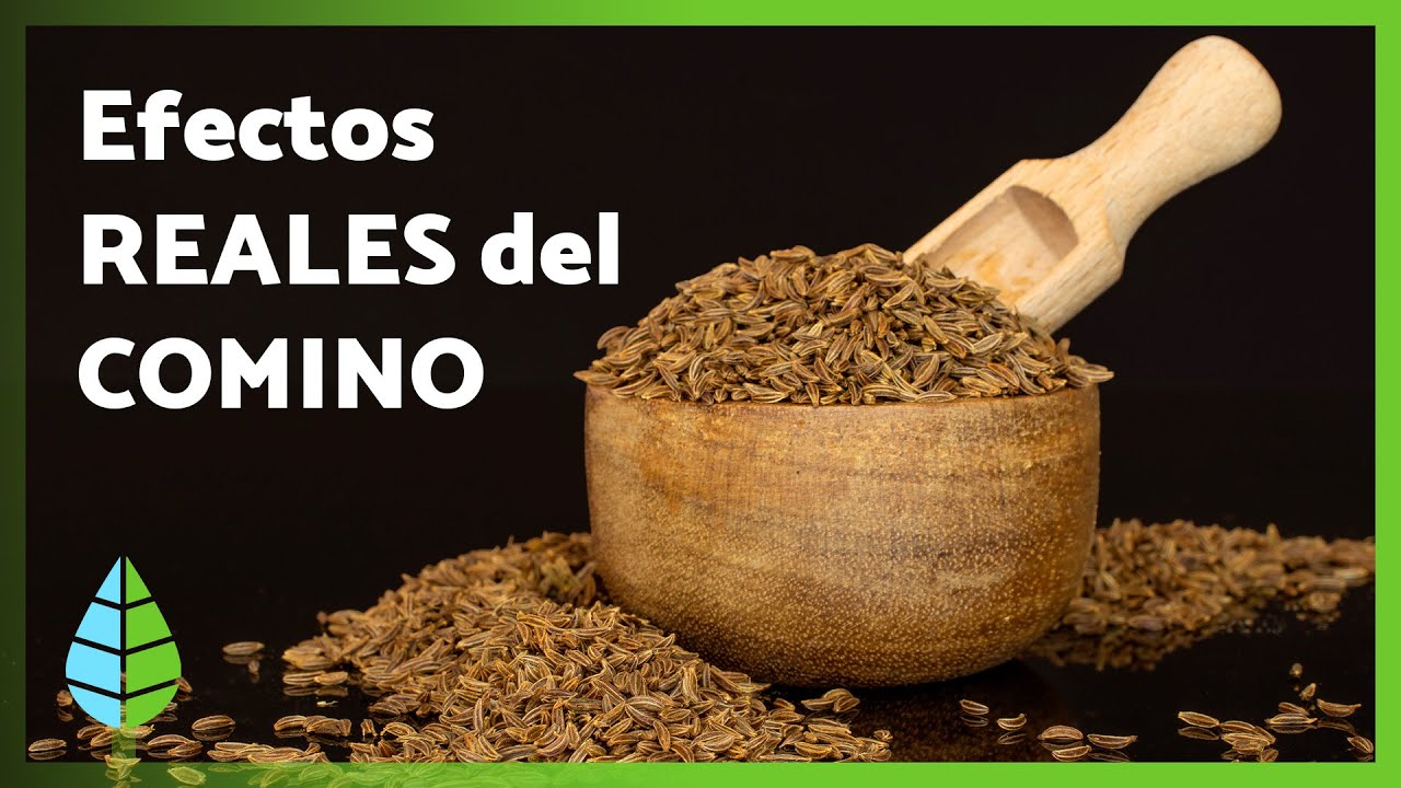 🌿 El secreto del COMINO: beneficios reales para tu cuerpo y cuándo NO deberías tomarlo