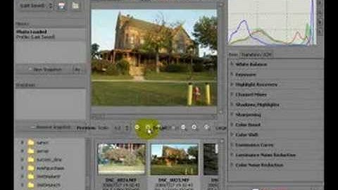 GIMP TUTORIAL CAMERA RAW RAW THERAPEE Part One
