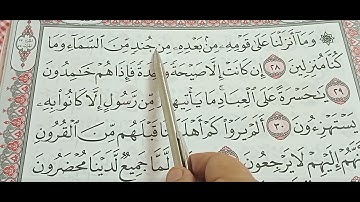سورة يس من الا يه ٢٧ الي ٣٤ مراجه