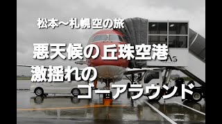 【北海道空旅】悪天候の丘珠空港に激揺れのゴーアラウンド