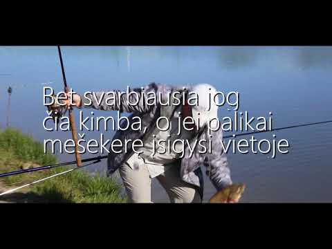 Video: Žvejai Iš Draugės Pelenų Padarė Masalą Ir Pagavo 80 Kg Sveriančią žuvį - Alternatyvus Vaizdas