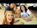 Reyna  friends take on seoul  bauhouse dog cafe  vlog