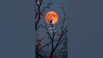 سورة الزمر آية (هو الحي لا اله الا الله) القرآن الكريم 🕋🤯 أرح سمعك وقلبك 🎧🤲 اكـتـب 📝 شـيء #قران_كريم