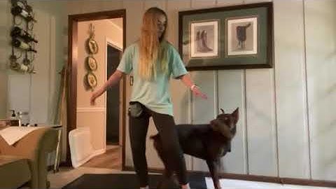 Riley Canouse, Lesson 18, 10-Part Behavior Chain