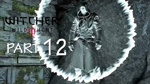 The Witcher 3 Wild Hunt Walkthrough Part 12 Mysterious Elf (PS4 Gameplay)