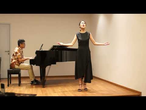 видео: Je dis que rien ne m'épouvante (Carmen) - Georges Bizet