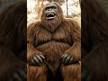 Bigfoot MrBeast challenge