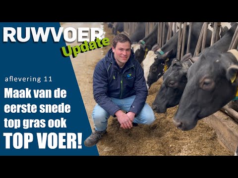 Hoe maak je van je eerste snede een top kuil? - video from De Heus