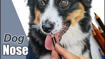 Colored pencil tutorial | How to draw a dog nose!