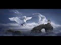 Meditation music for Relaxation and Sleep.