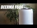 Обзор увлажнителя воздуха Deerma F600