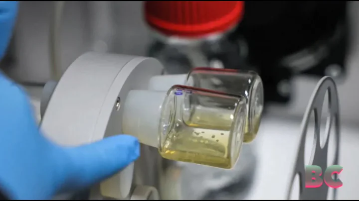 Synthetic human embryos created in groundbreaking advance