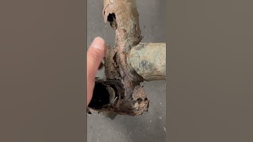 Can someone help us find the rust on this subframe. 👀. Comment below.