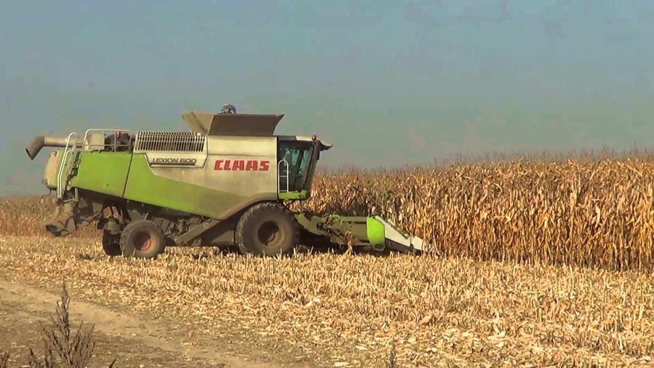 Żniwa Kukurydziane 2014, Lexion 600 & Conspeed 12-75