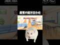 【猫ミーム】最悪の組み合わせ
