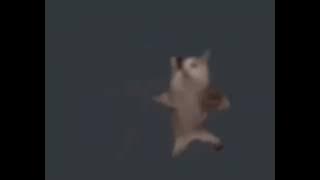 acumalaka cat but it's 1:04 minutes