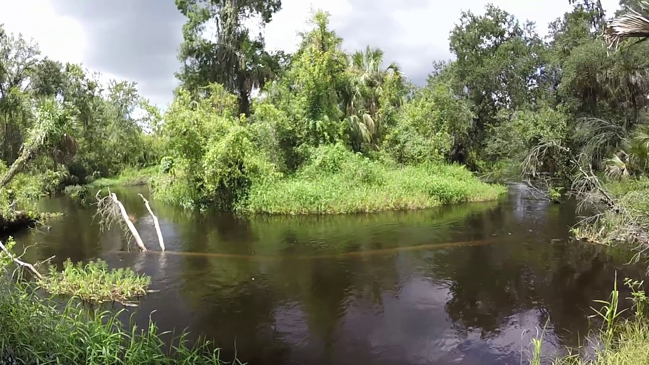 Hiking at Lake Wales Ridge State Forest (Arbuckle Tract) YouTube