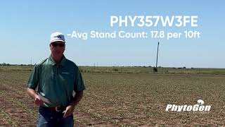 Don't Skip the Stand Count: Why Uniform Cotton Emergence Matters