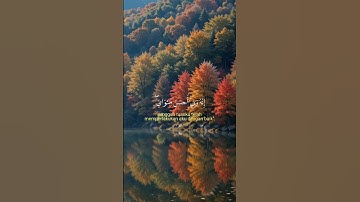 اللهم اجعل القرآن الكريم نورا لنا في الدنيا والآخرة يارب #القرآن_الكريم #تلاوة_خاشعة #دعاء #لايك