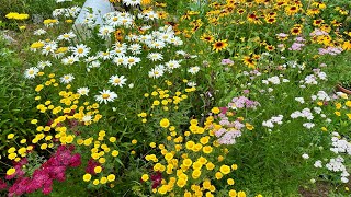 Garden Border 2025