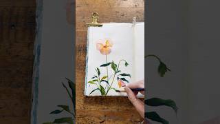 Watercolor Journal Inspo
Just some lovely wild pansies in the corner of my Bella Classic watercolor journal.
Whats your favorite thing to paint lately?!
#letsmakeart #sarahcray #watercolorjournal #watercoloringpaintingtutorial #watercolorfloral Watercolor Journal Inspo