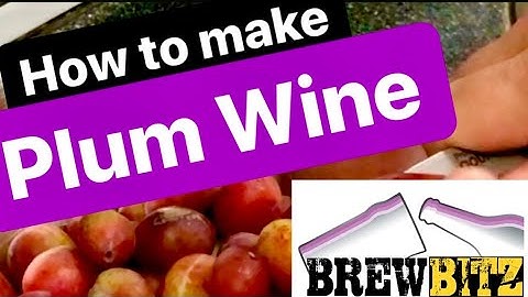 How to make Plum Wine Recipe by Brewbitz Homebrew