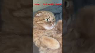 When Purring Turns Into Biting