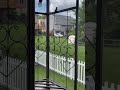 Cute Humming Bird Struggling to navigate out of the gazebo | Helped to get out!