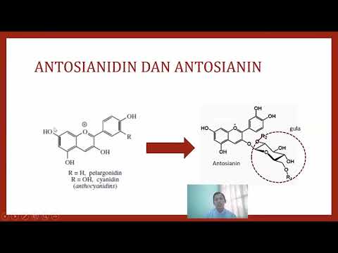 Materi Kuliah : STRUKTUR FLAVONOID DAN BIOSINTESIS flavonoid