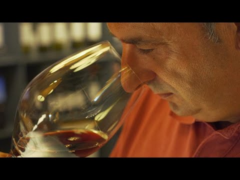 Риоха, кава и херес: чем уникальны испанские вина?