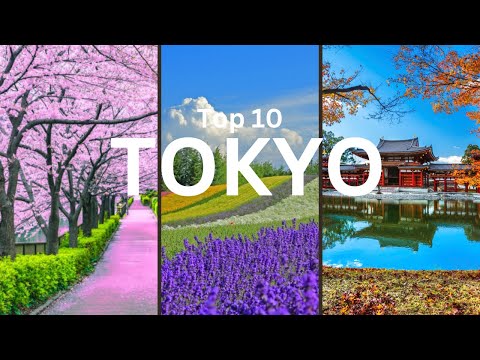 Top 10 Best Things To Do In Tokyo l Japan Travel Guide 2024#japan #tokyo #travel