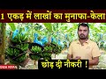 लाखों की इस खेती के लिए छोड़ी नौकरी | Banana Farming | नई तकनीक से Kheti | new Technique farming