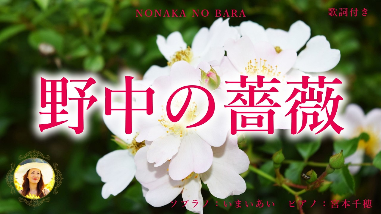 リュージュ 72弁愛と薔薇の日々 愛の喜びは いつまでも20歳でいられたら YouTube