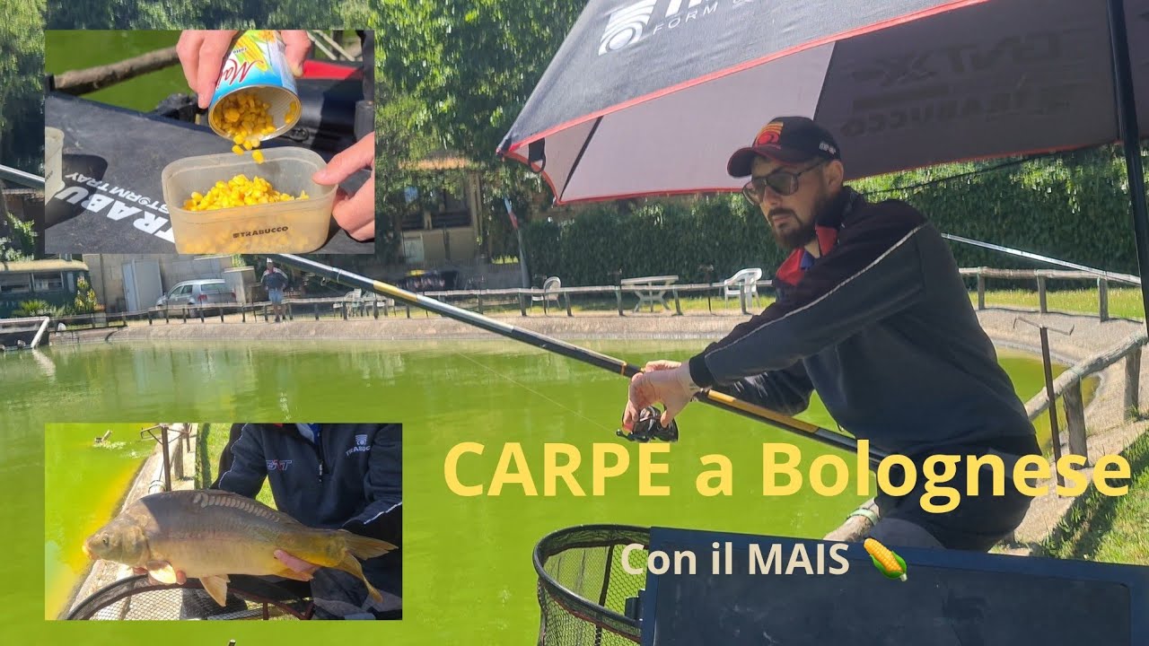 CARPE con il MAIS 🌽 A Bolognese 🐟🎣