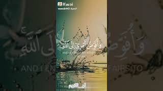 حالات واتساب قرآن كريم ❤