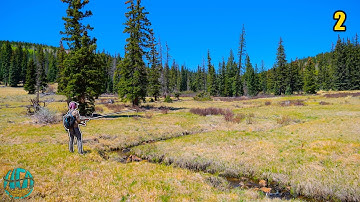 Fly Fishing Tiny Creeks for Apache Trout! (Arizona