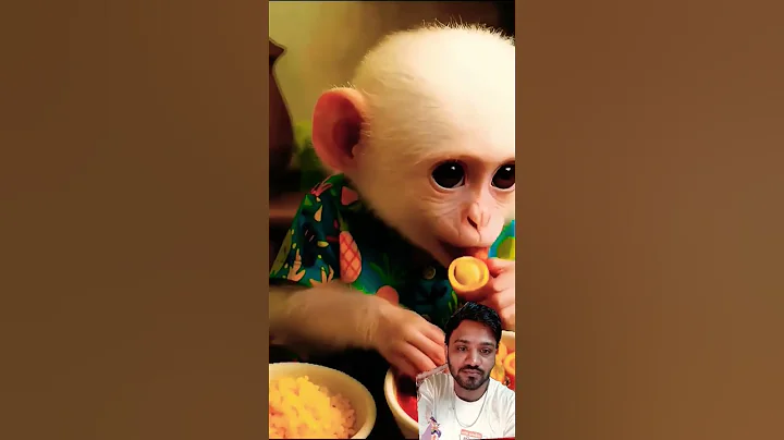 આજે જવાનું મળી ગયું || Monkey Short film 🎥 #monkey #cute #edit