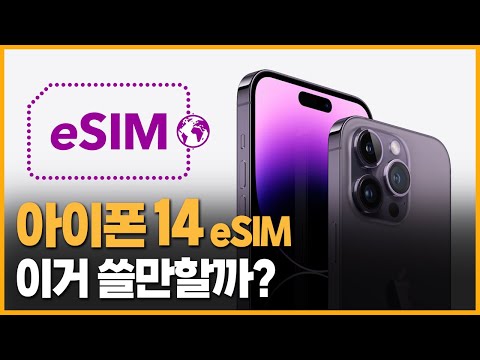   번호 두 개 사용 가능한 ESIM 서비스 아이폰에는 의미가 없다