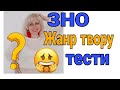 Жанр твору: тести для ЗНО (частина I)