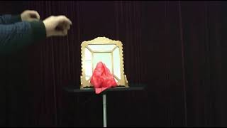 Deluxe Silk Thru Mirror   Remote Control